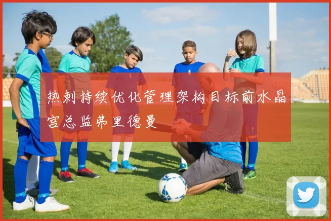 热刺持续优化管理架构目标前水晶宫总监弗里德曼